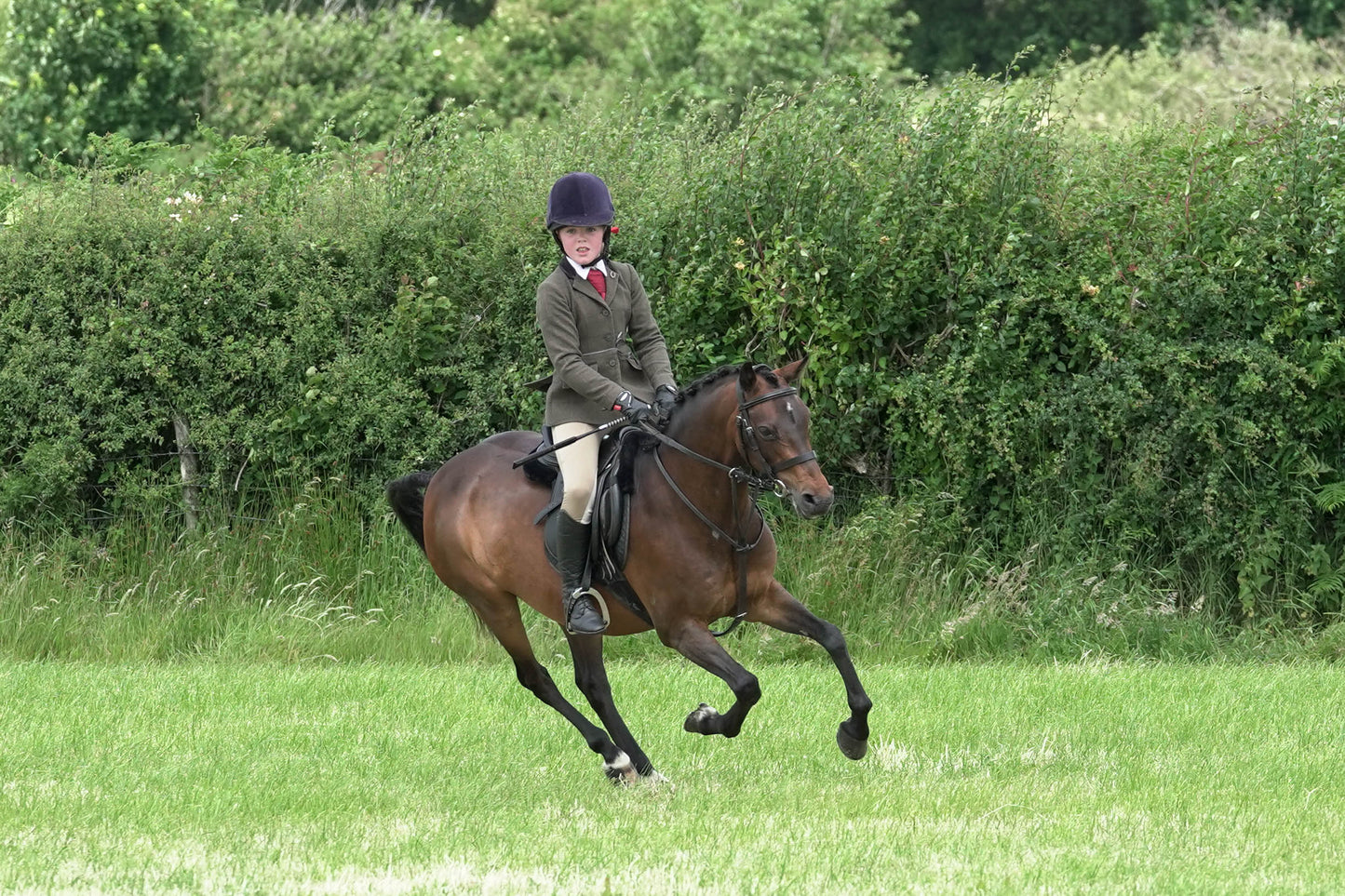 fbh hunter ring