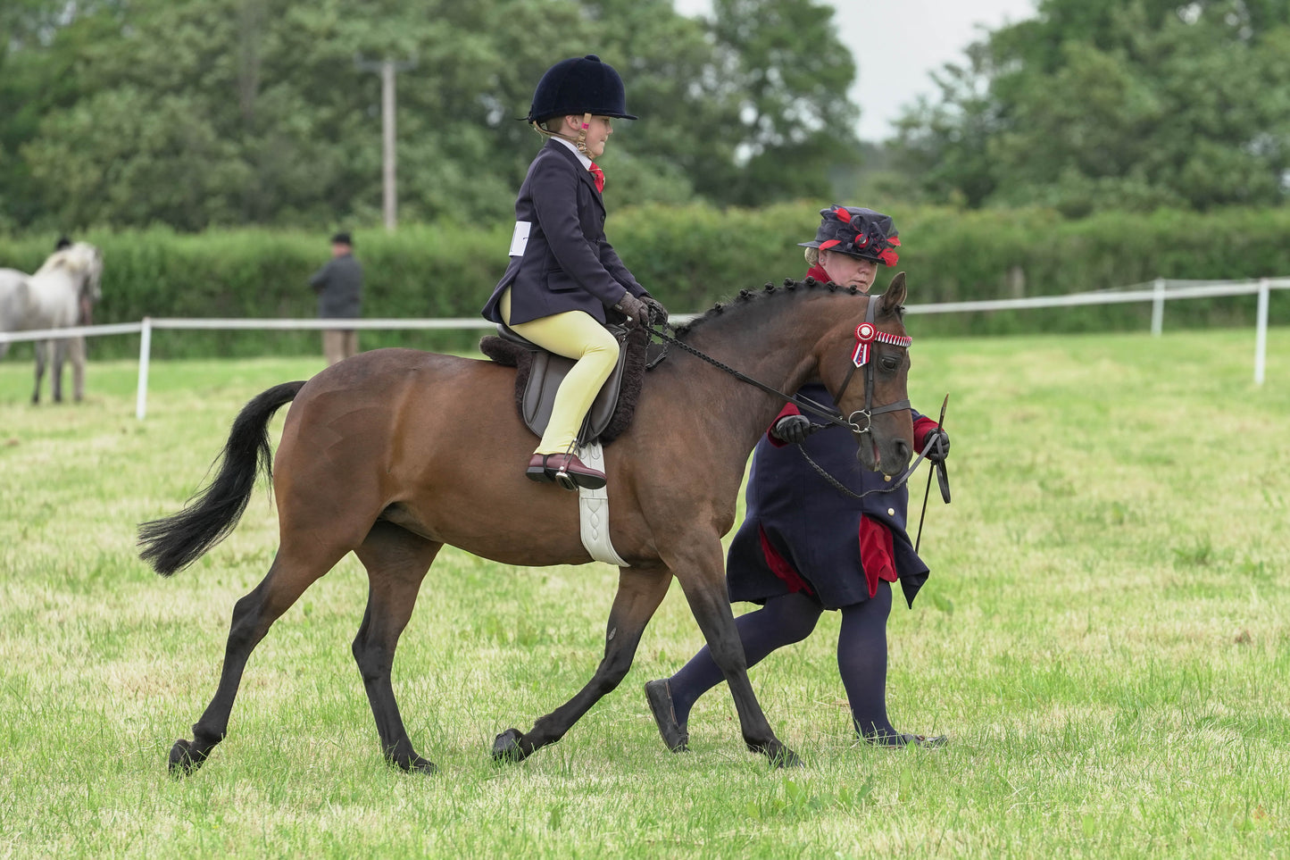 fbh ridden class 1