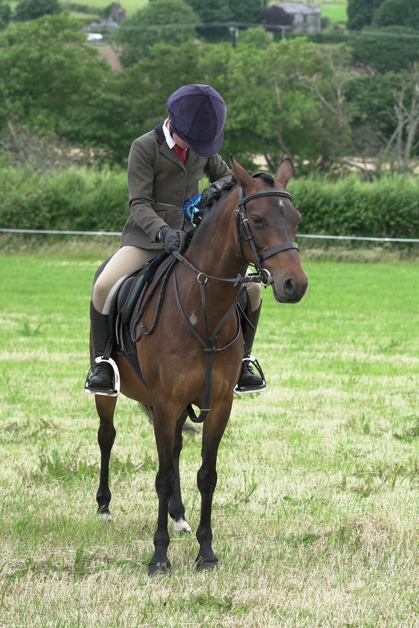 fbh ridden class 2