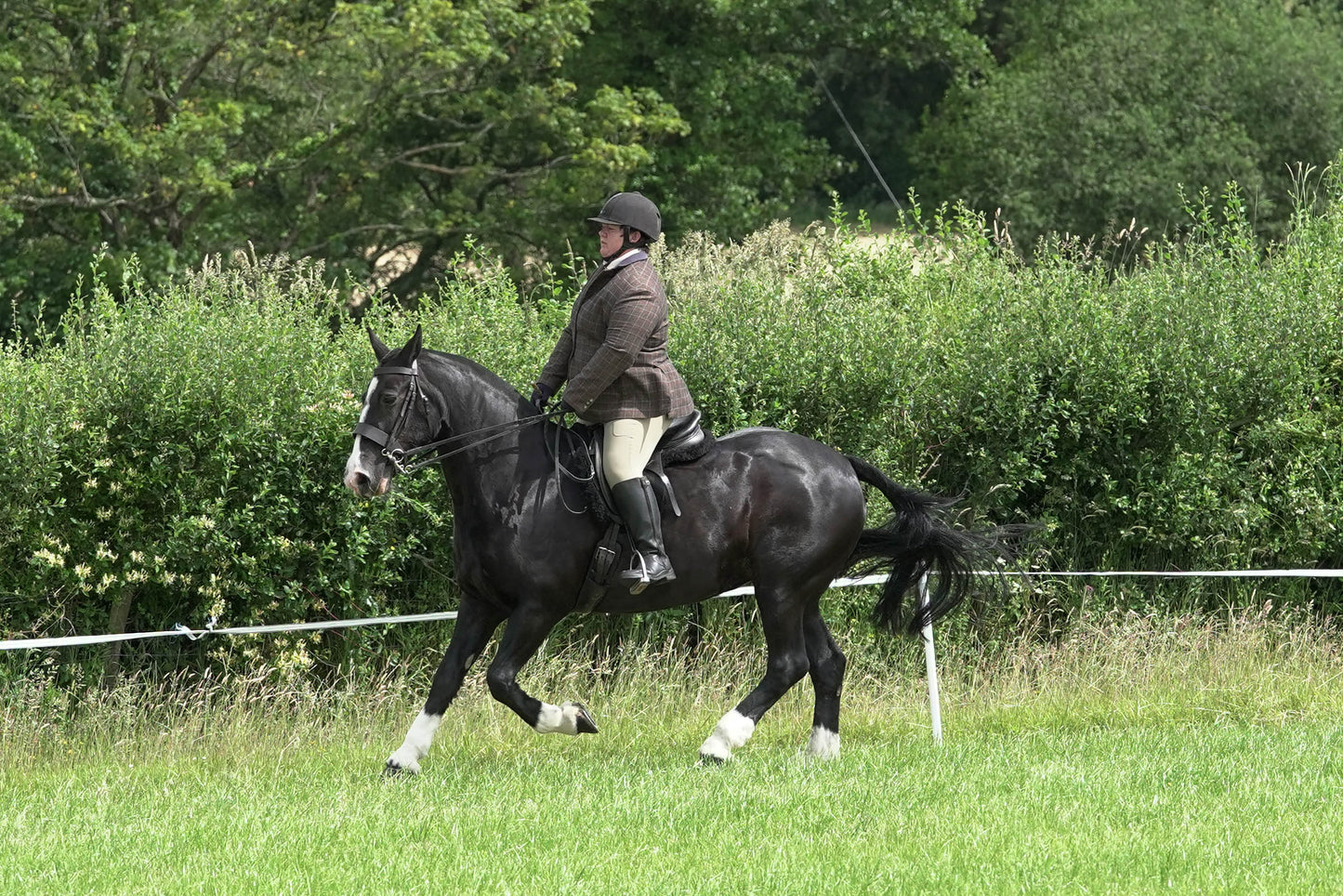 fvh ridden class 3