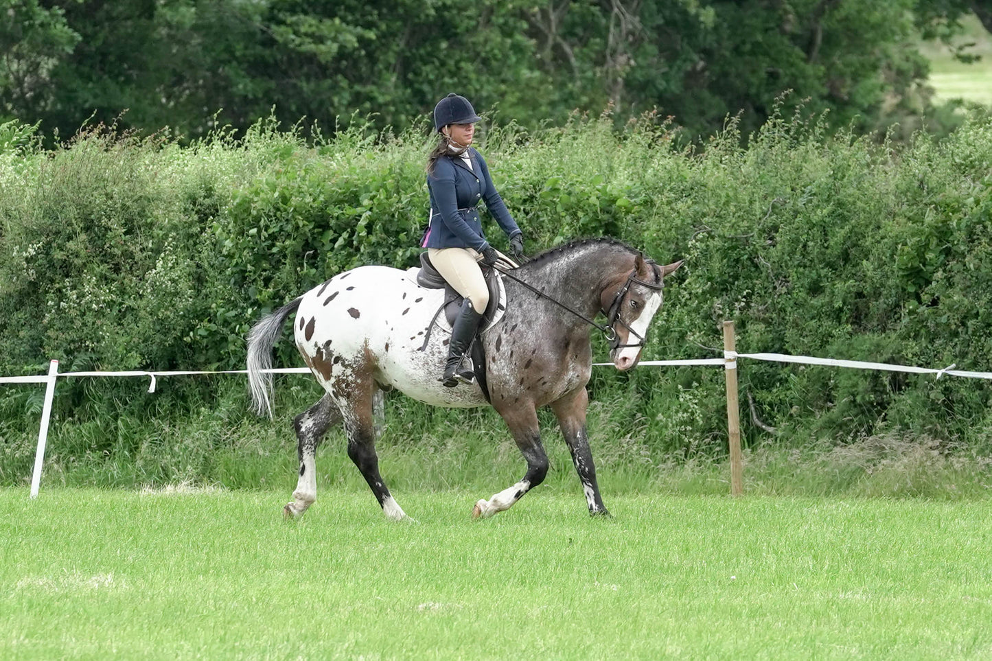fbh ridden class 4