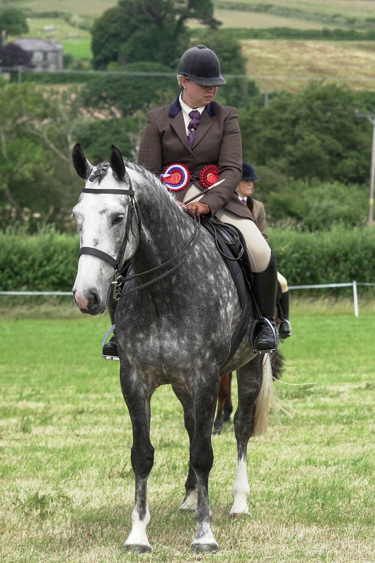 fbh ridden chamionship