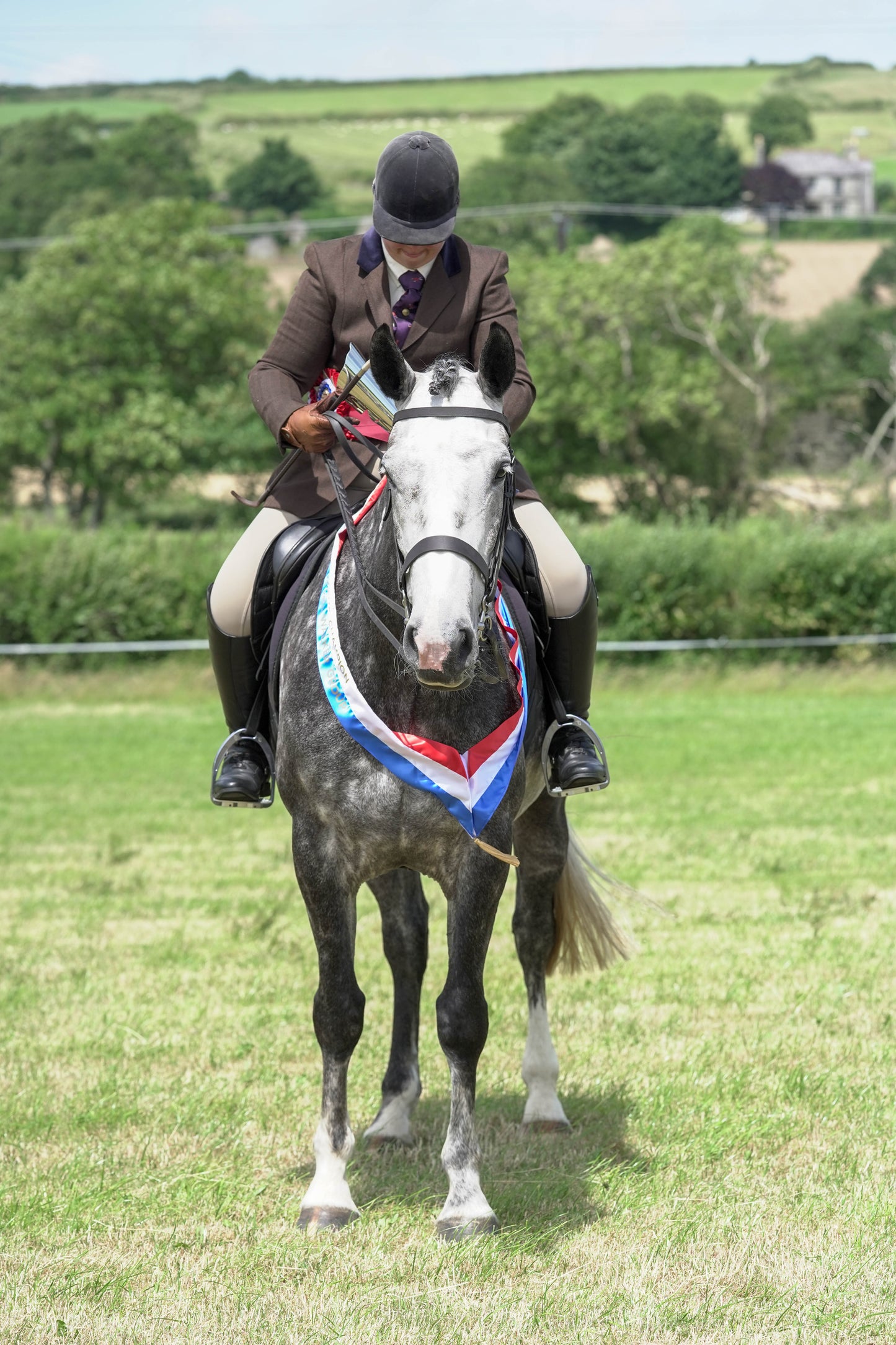 fbh Supreme Championship