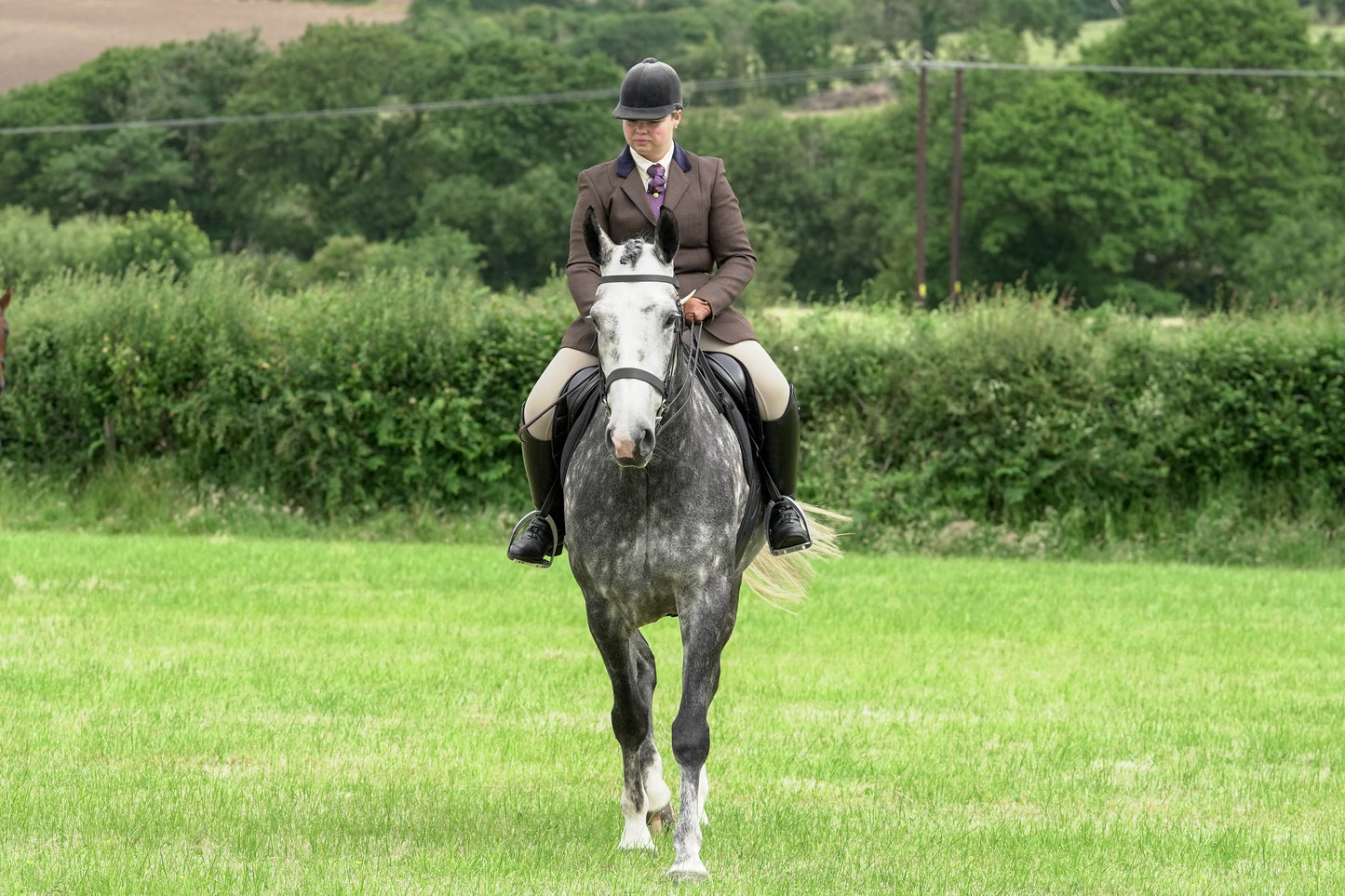 fbh hunter ring class 2