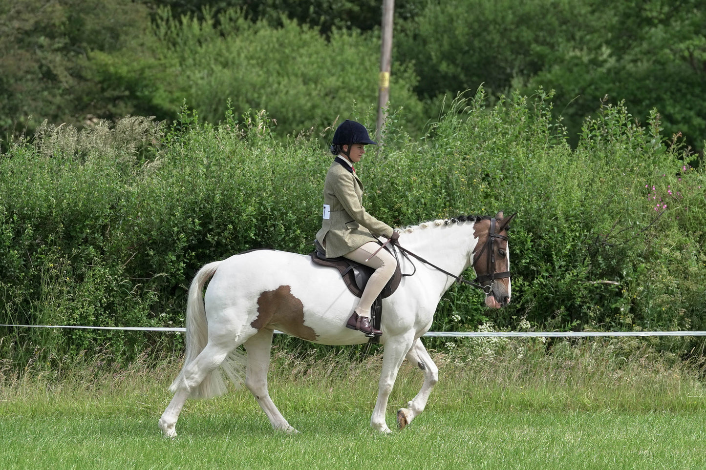 fbh hunter ring class 3