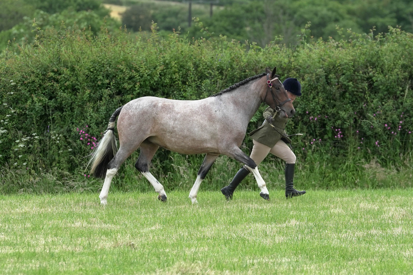 fbh in hand class1