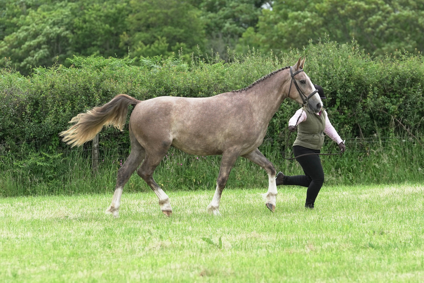 fbh in hand class1