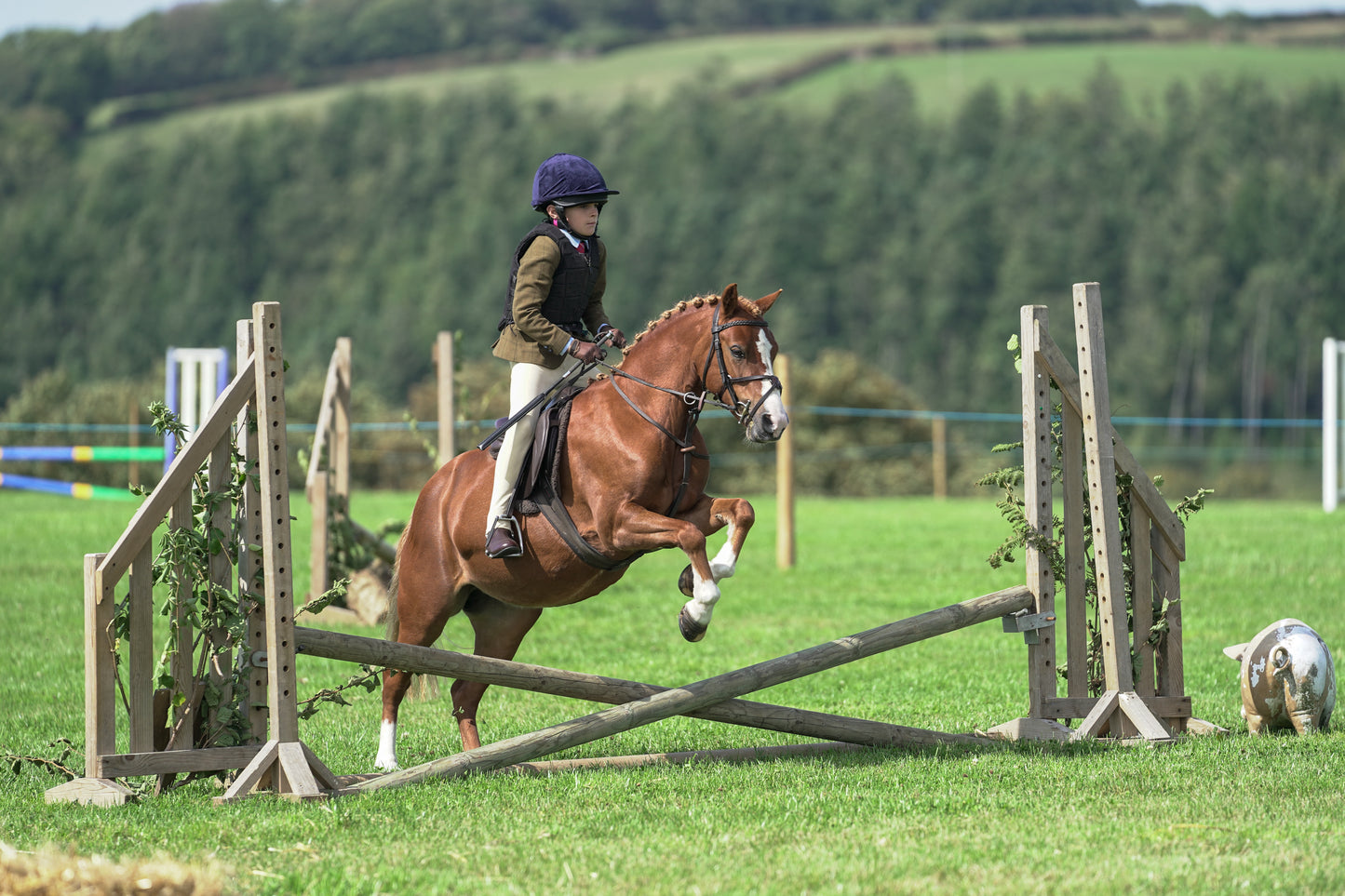 lanlivery show jumping rings part 2