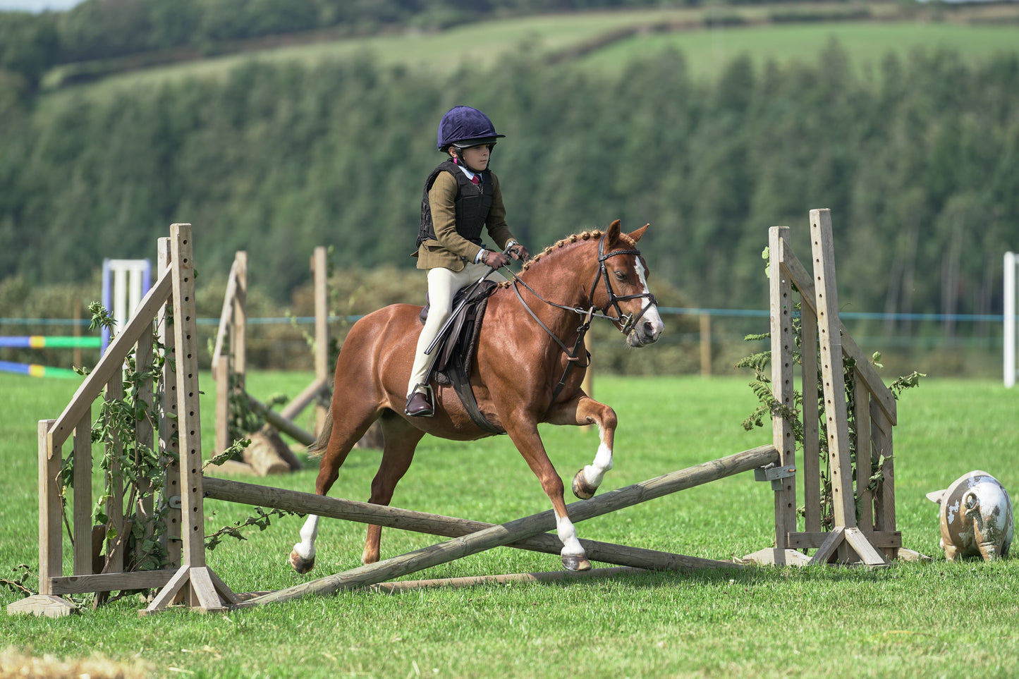 lanlivery show jumping rings part 2