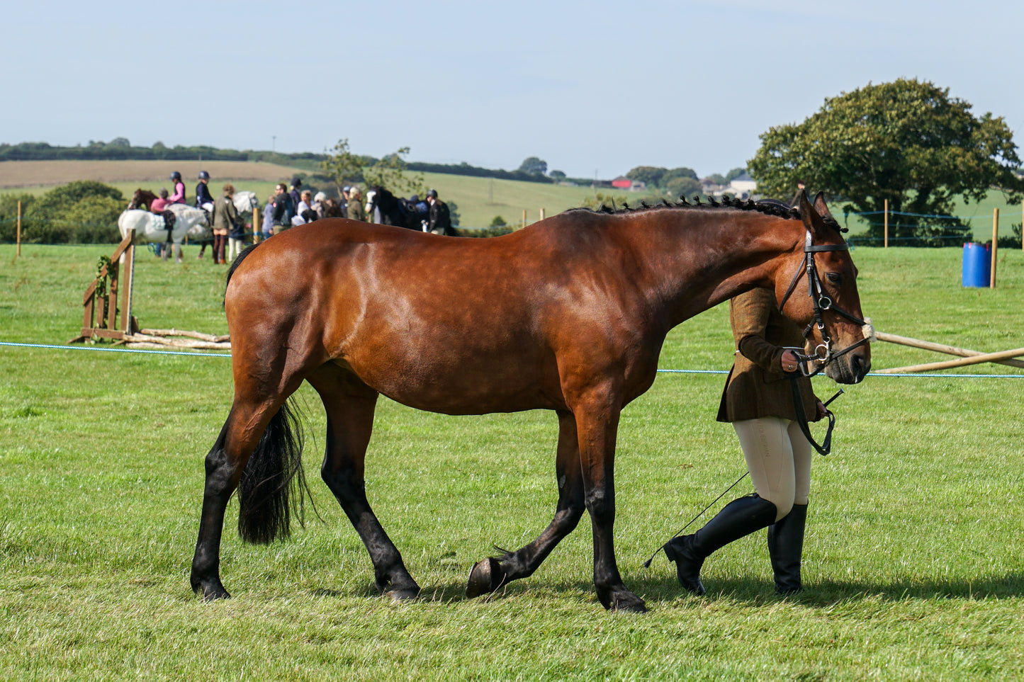 lanlivery show in hand part 2