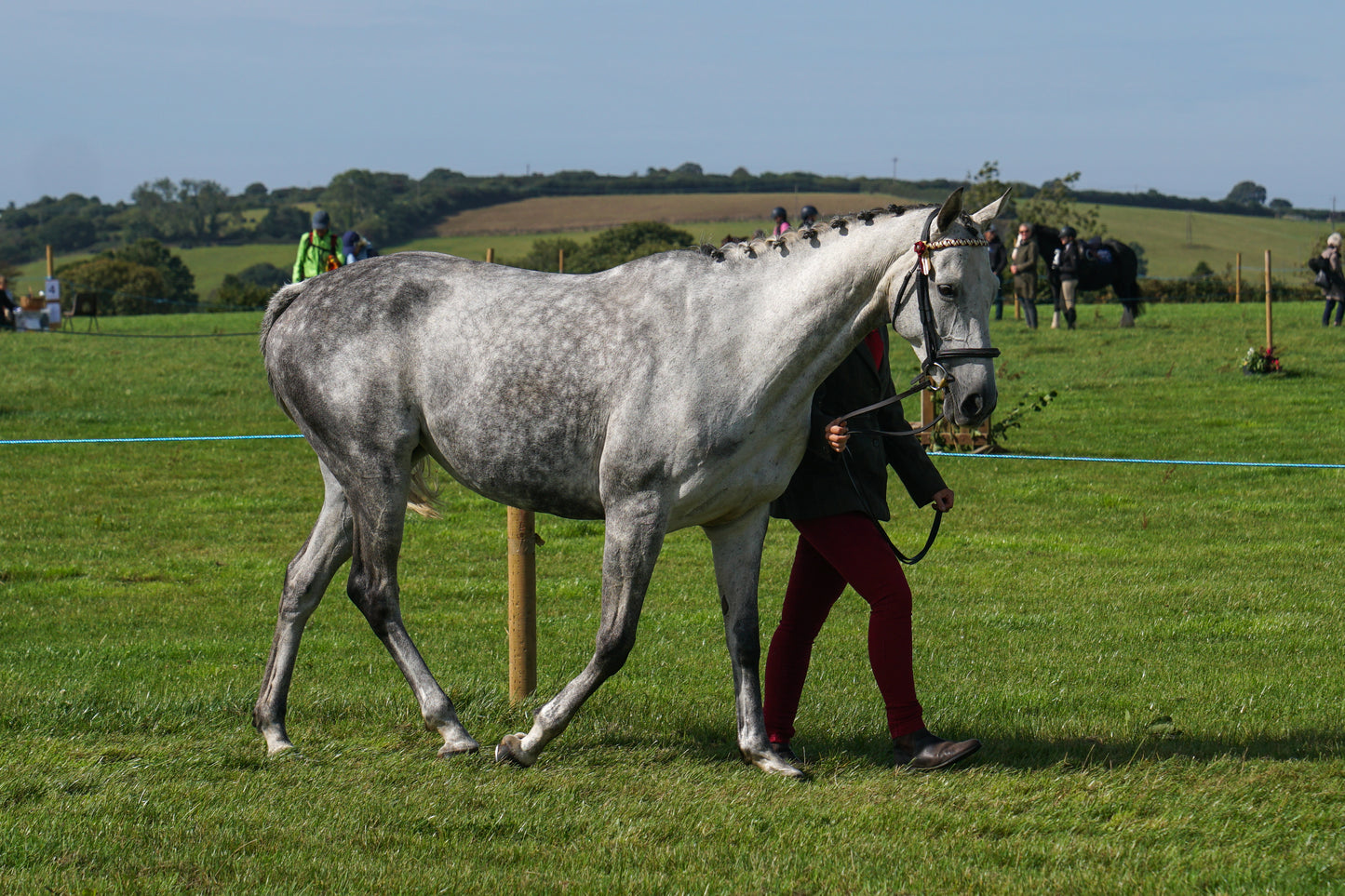 lanlivery show in hand part 2