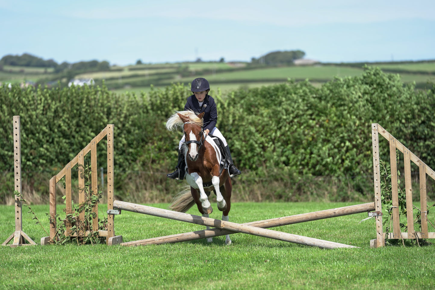 lanlivery show jumping rings part 2