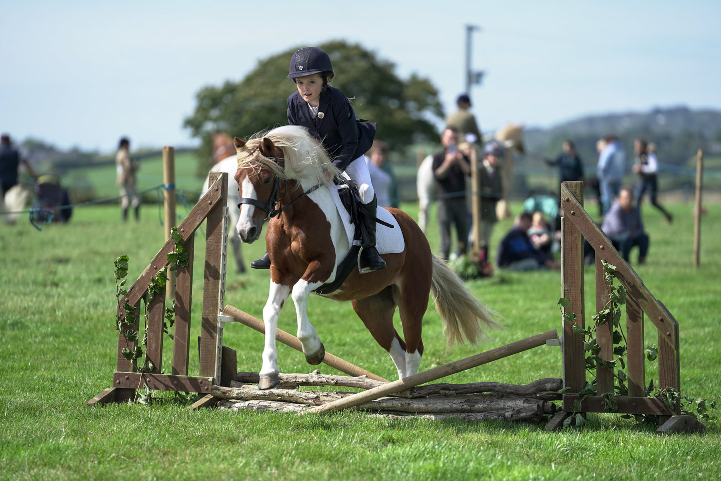lanlivery show jumping rings part 2