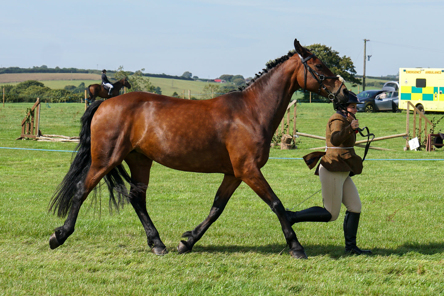 lanlivery show in hand part 2