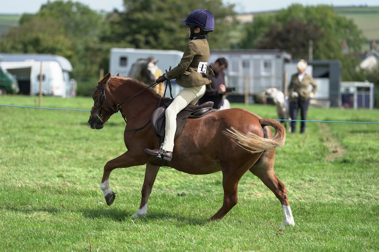 lanlivery show jumping rings part 2