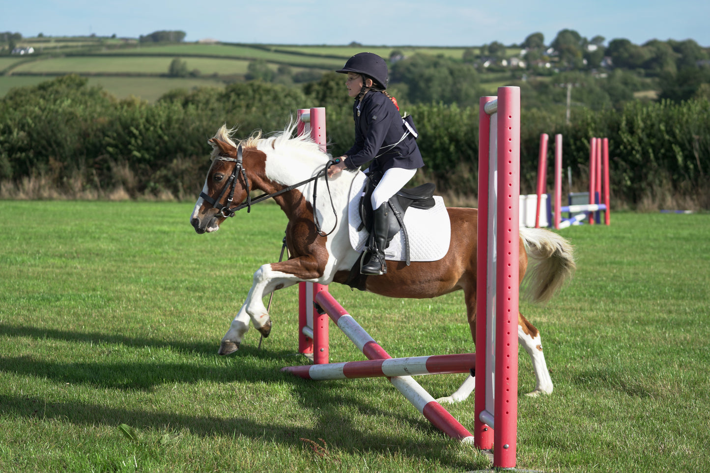 lanlivery show jumping rings part 1