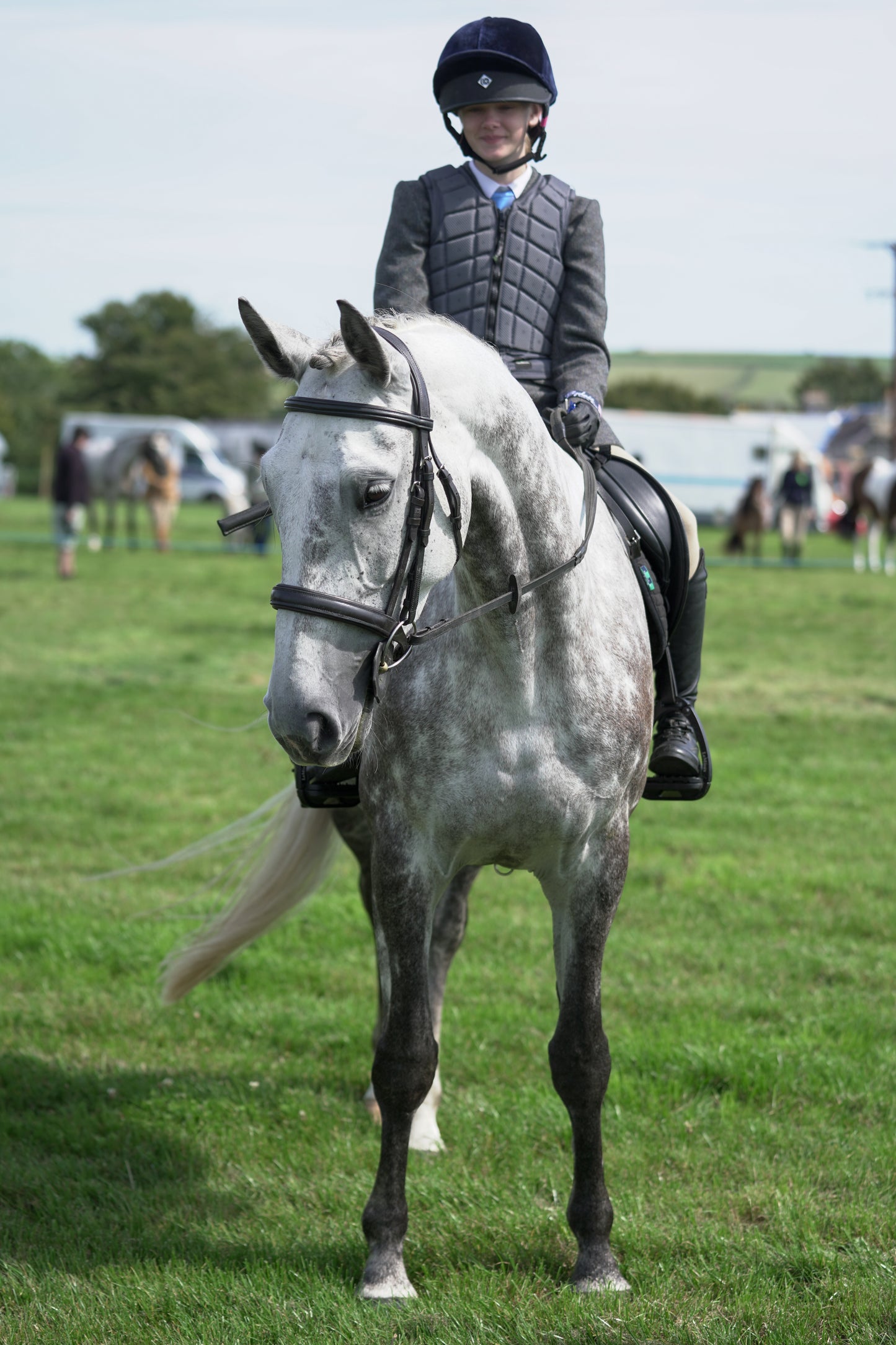 lanlivery show jumping rings part 2