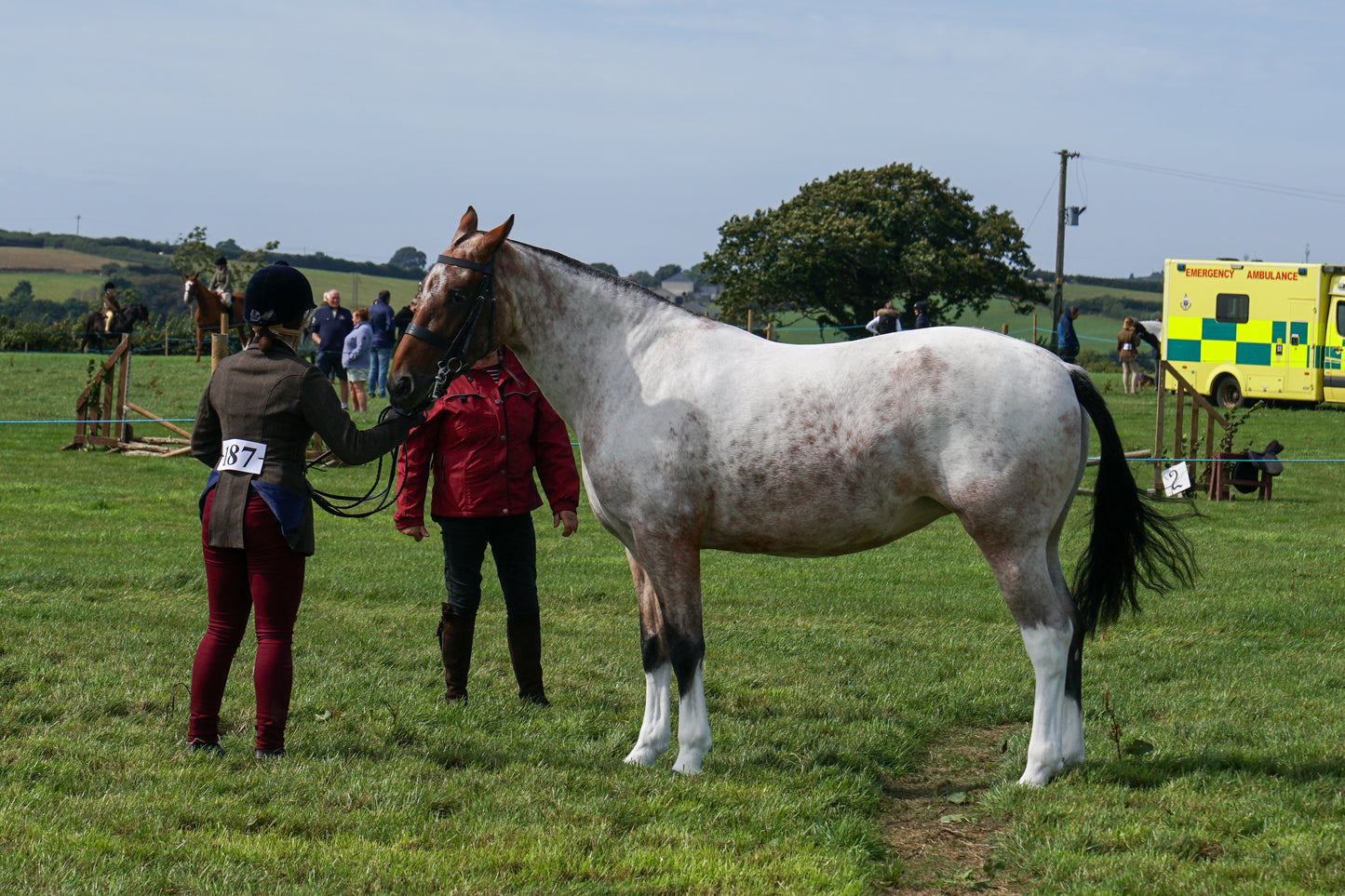 lanlivery show in hand part 2