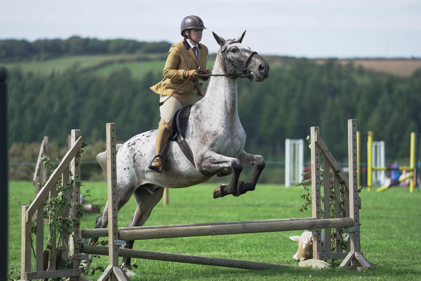 lanlivery show jumping rings part 2