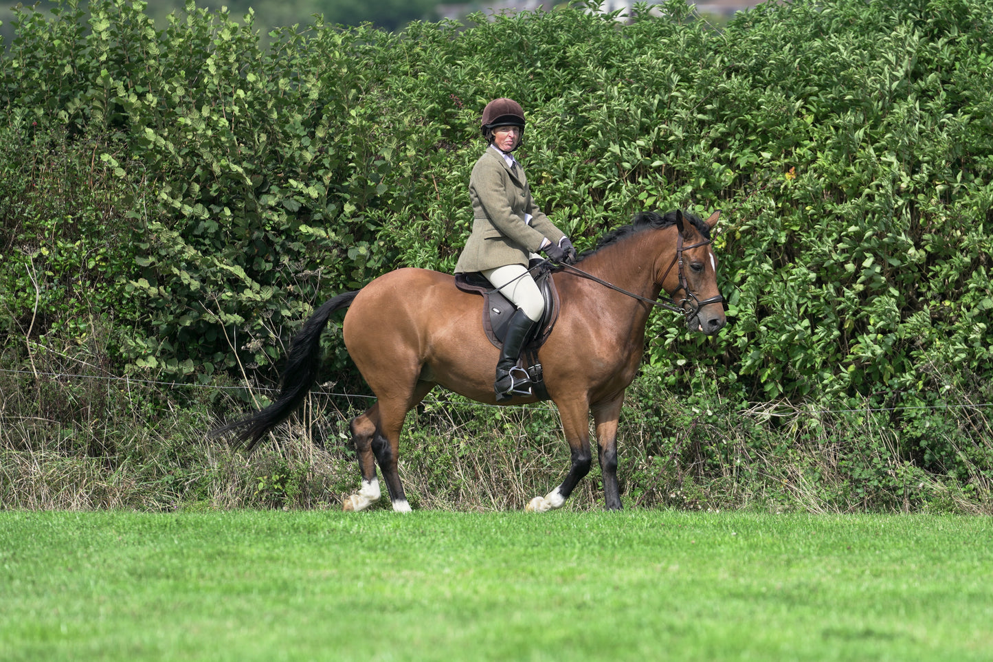 lanlivery show jumping rings part 2
