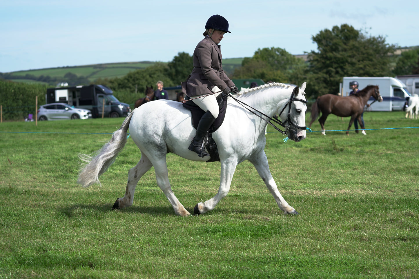 lanlivery show jumping rings part 2