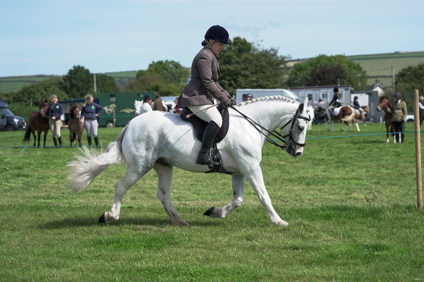 lanlivery show jumping rings part 2