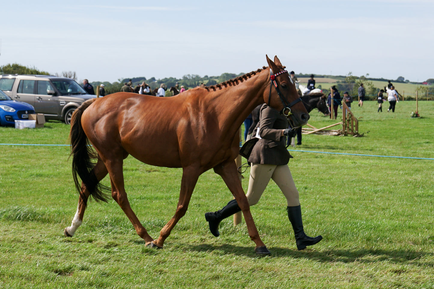 lanlivery show in hand part 2