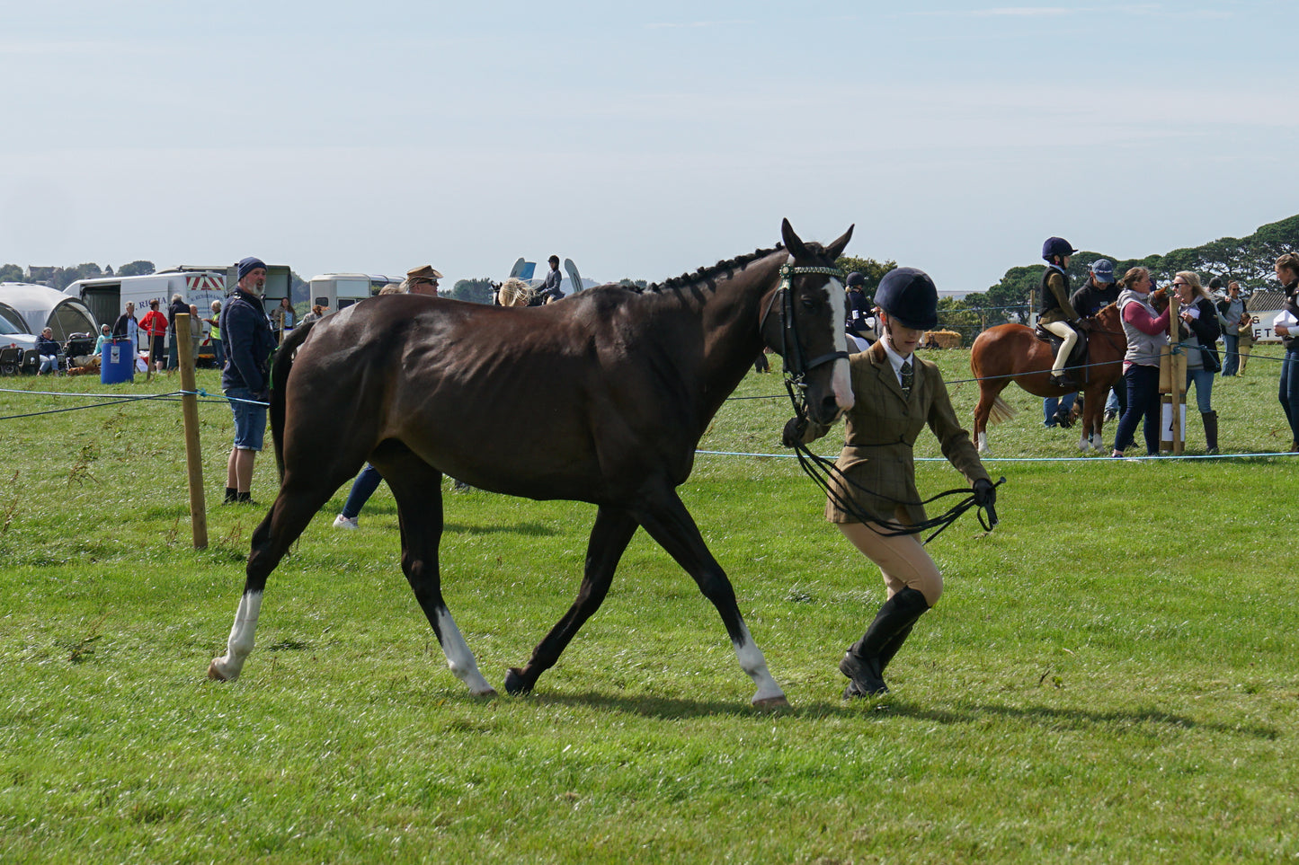 lanlivery show in hand part 2