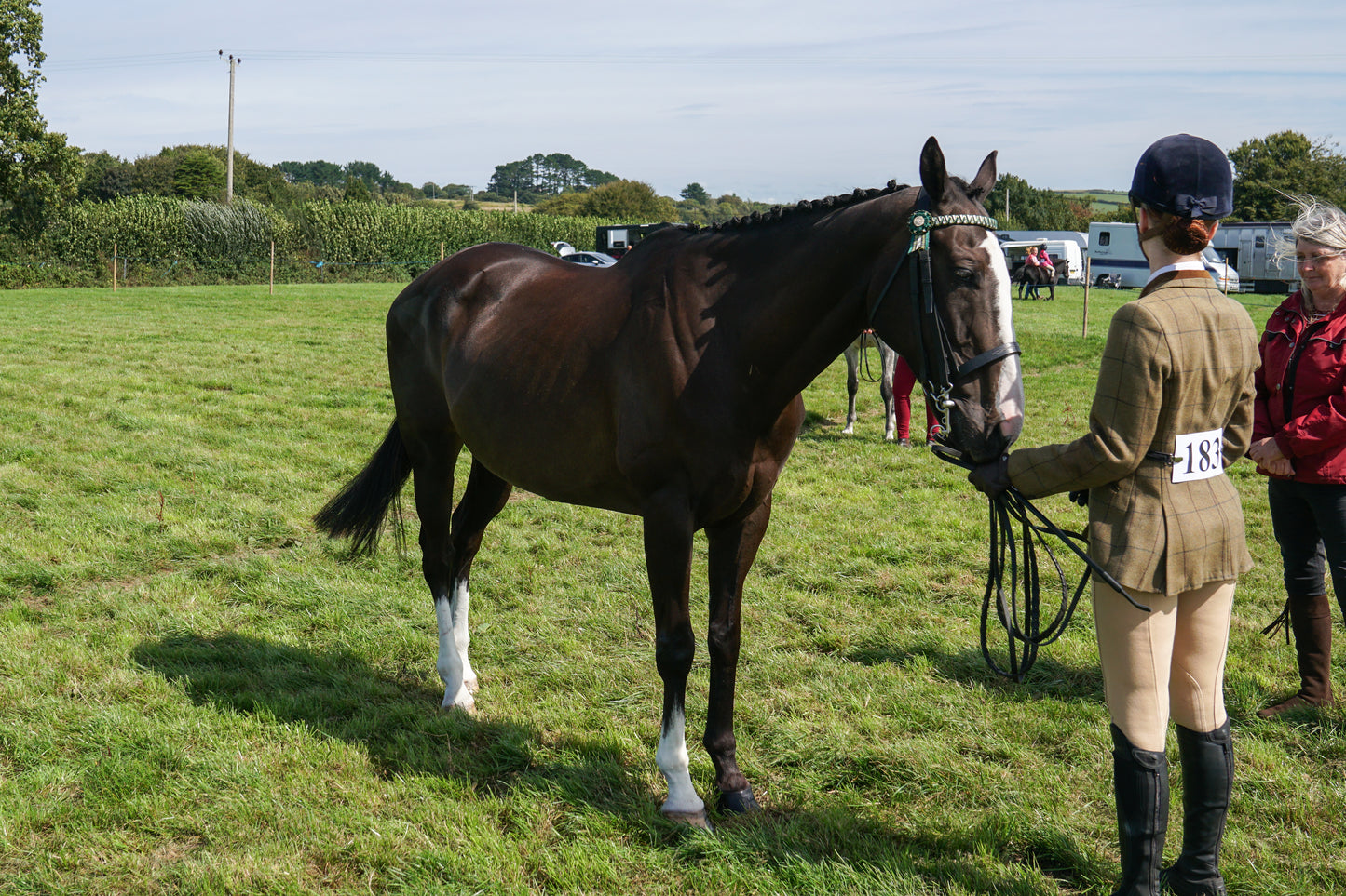 lanlivery show in hand part 2