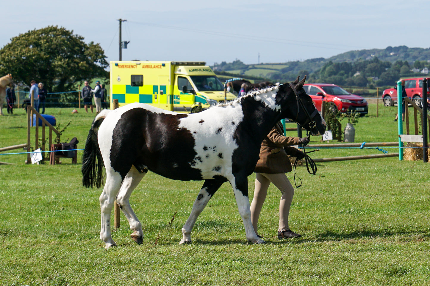 lanlivery show in hand part 3