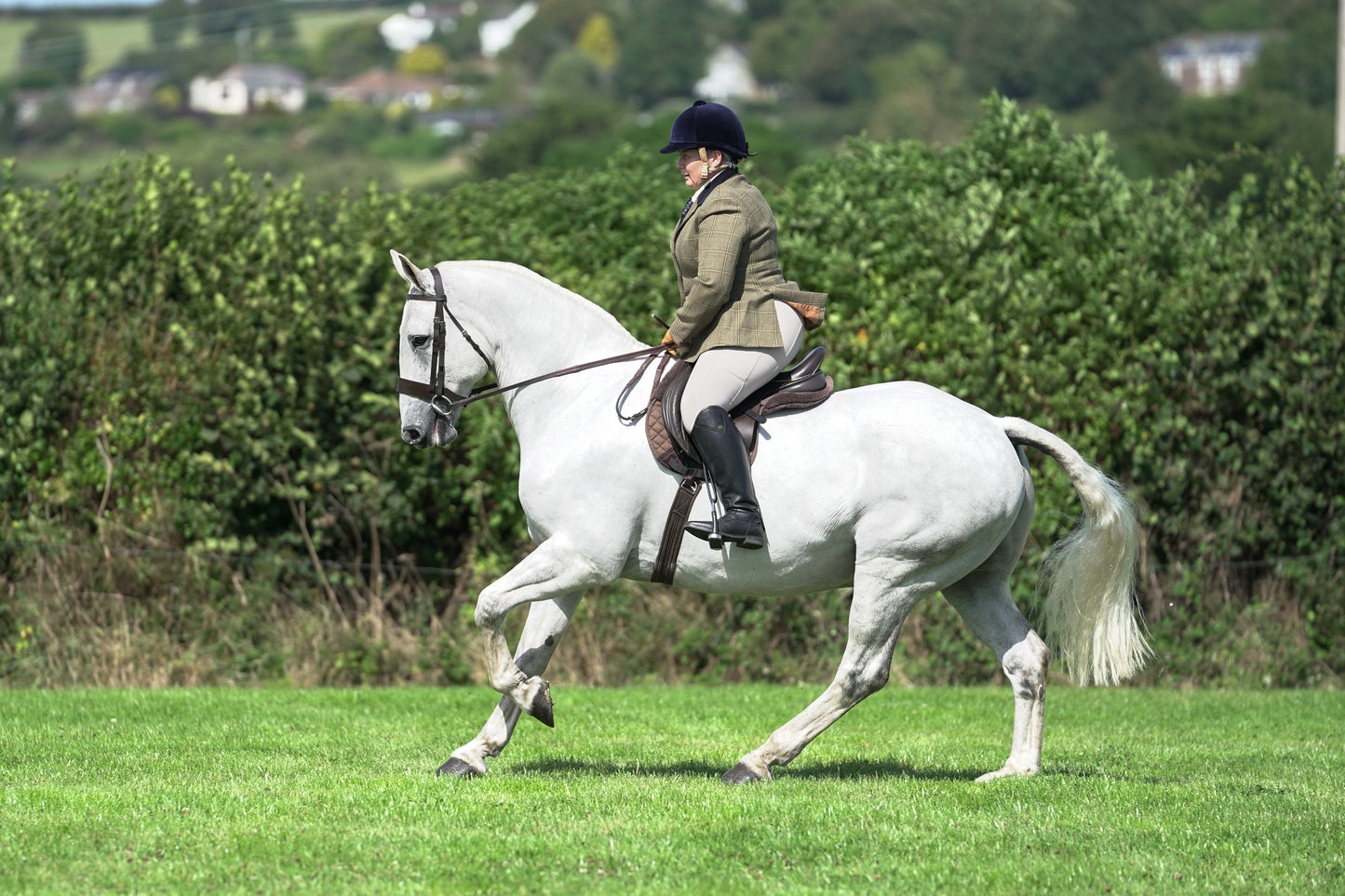 lanlivery show jumping rings part 3