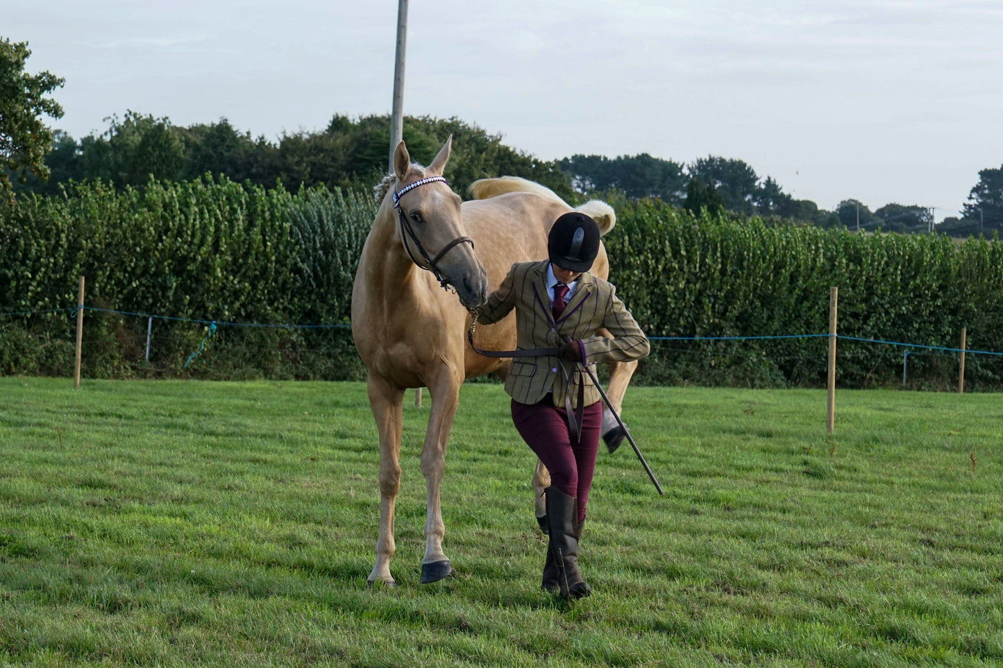 lanlivery show in hand part 1