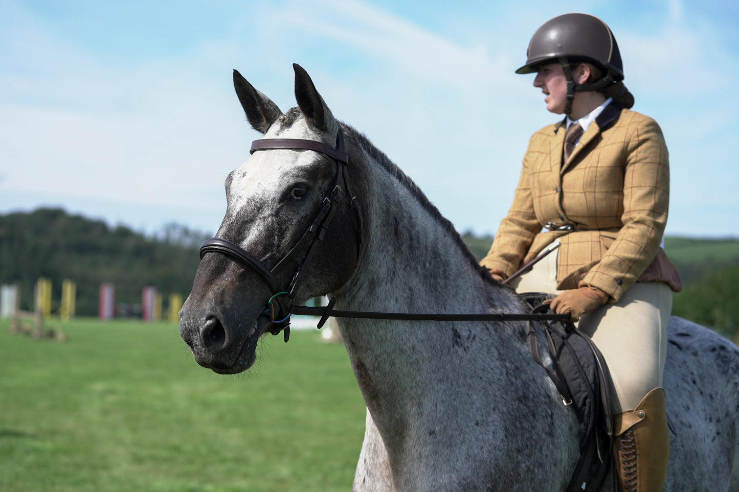lanlivery show jumping rings part 3