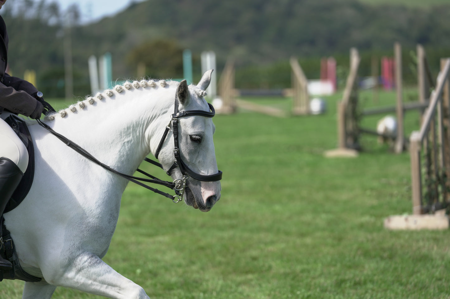 lanlivery show jumping rings part 3