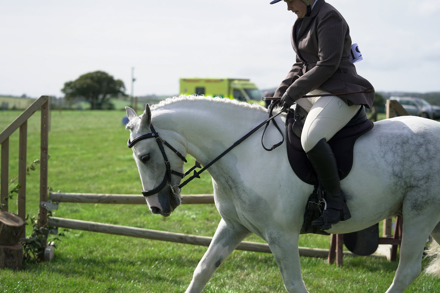 lanlivery show jumping rings part 3