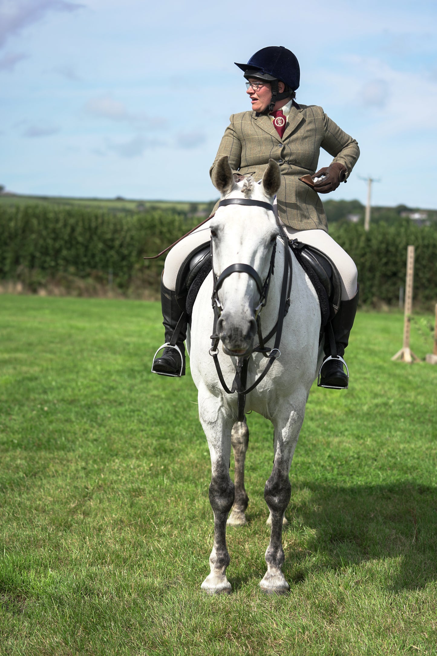 lanlivery show jumping rings part 3
