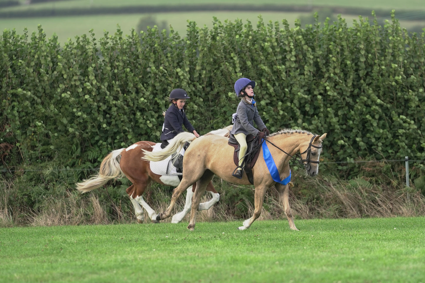 lanlivery show jumping rings part 3
