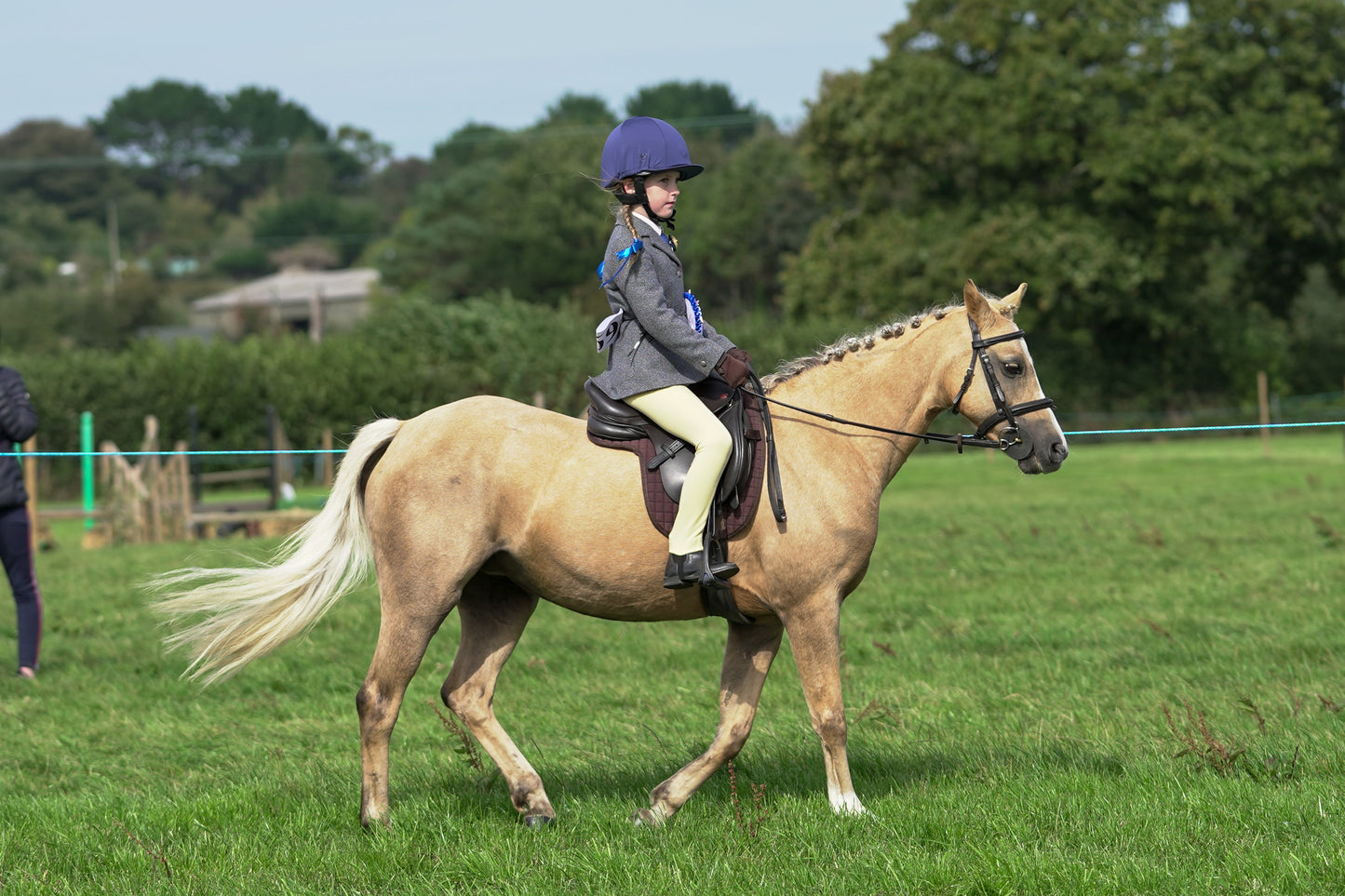 lanlivery show jumping rings part 4