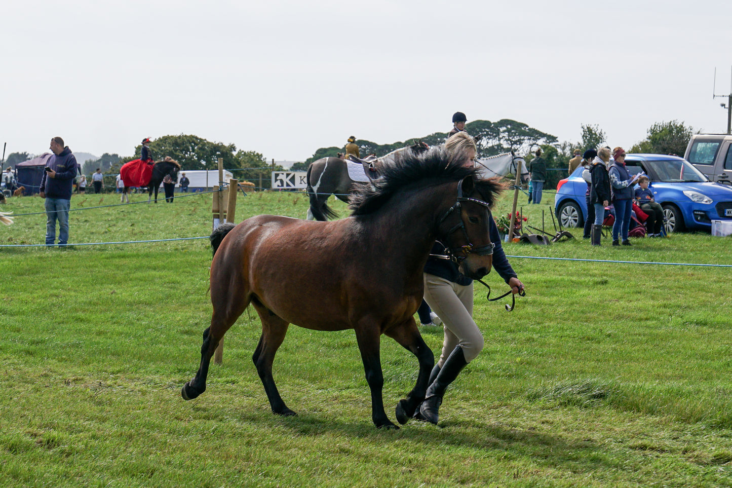 lanlivery show in hand part 4