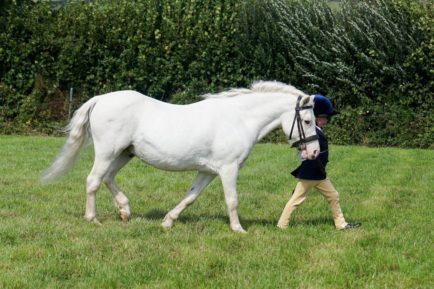lanlivery show in hand part 4
