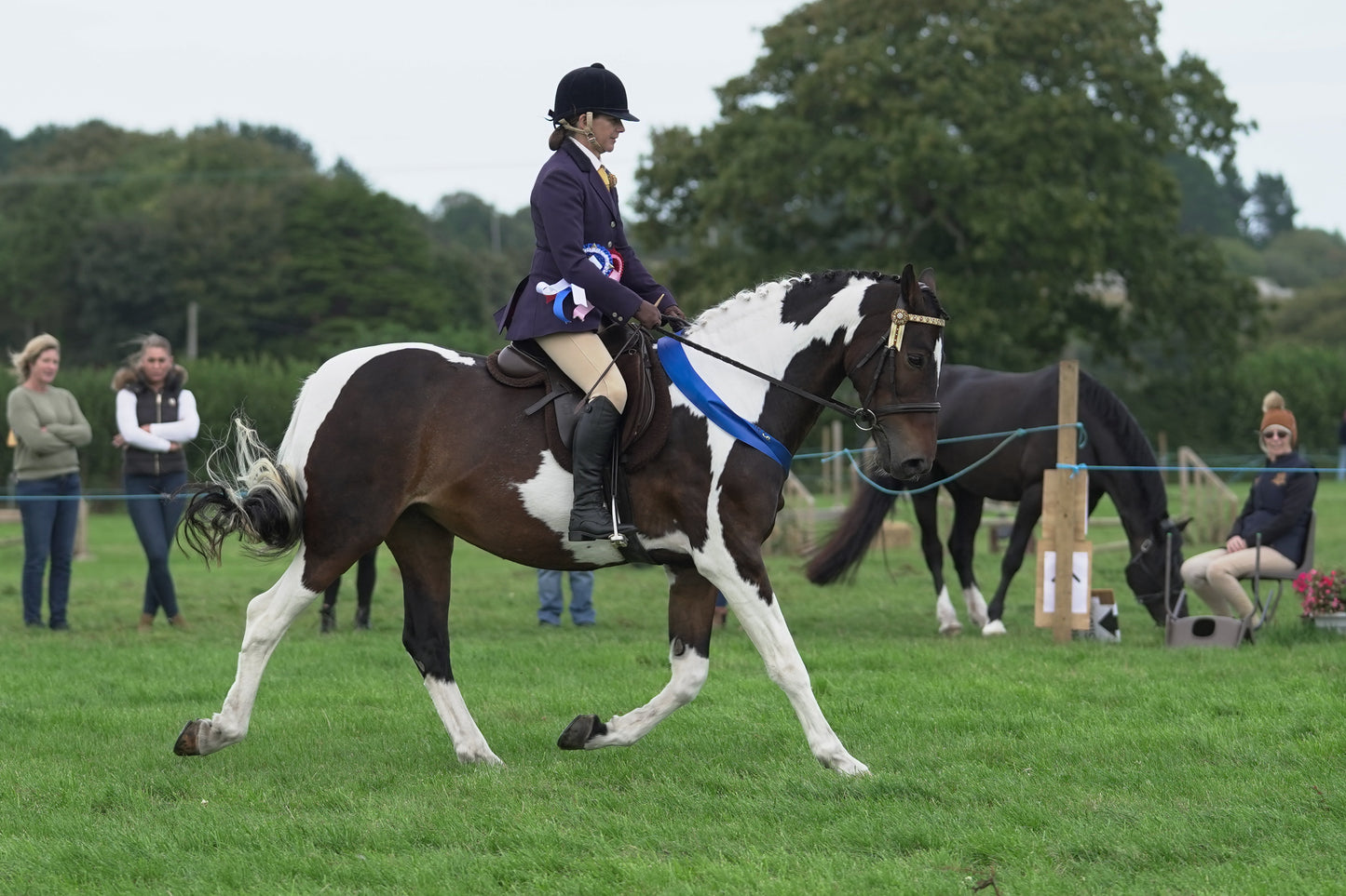 lanlivery show jumping rings part 4