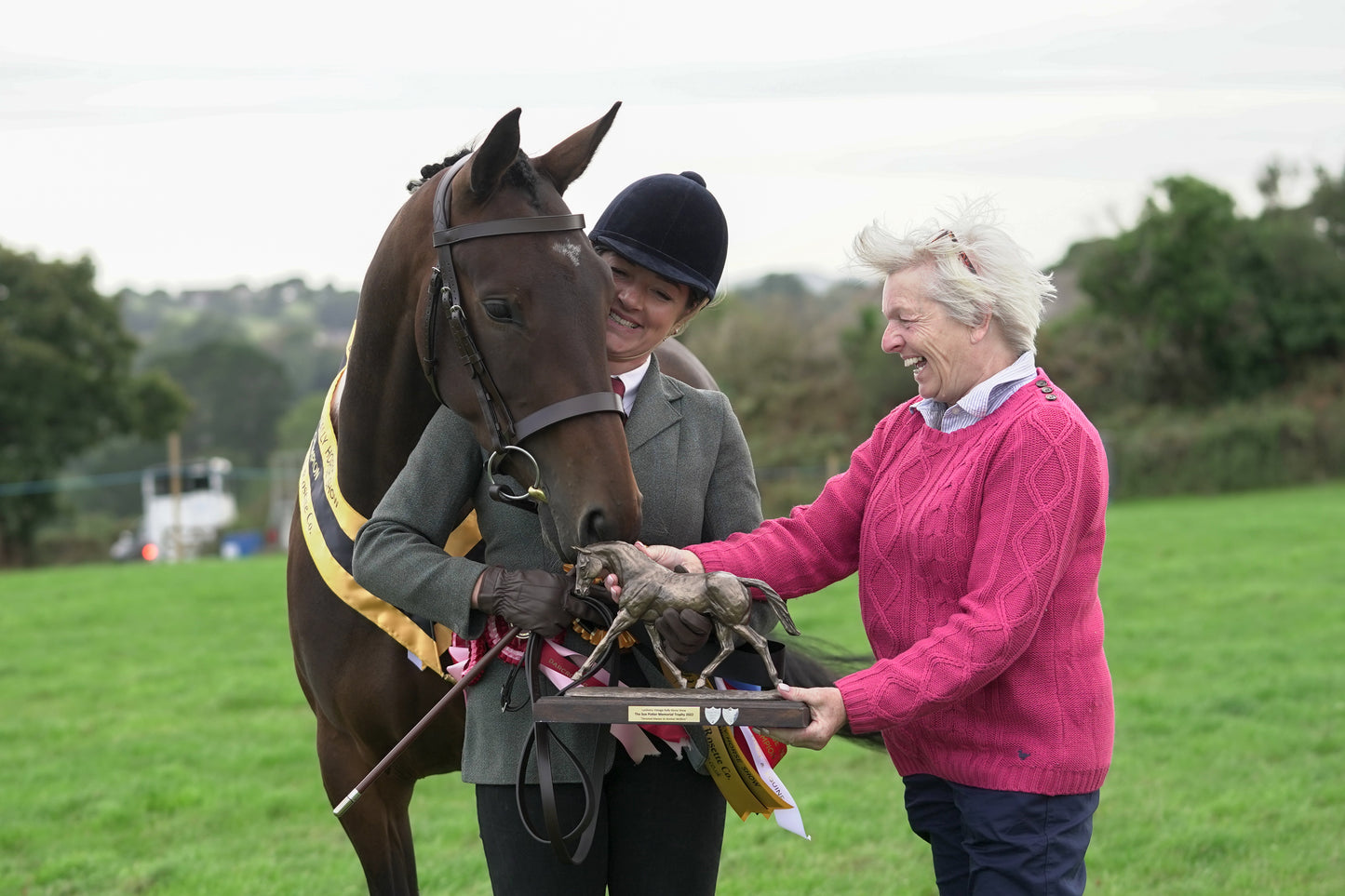 lanlivery show jumping rings part 4