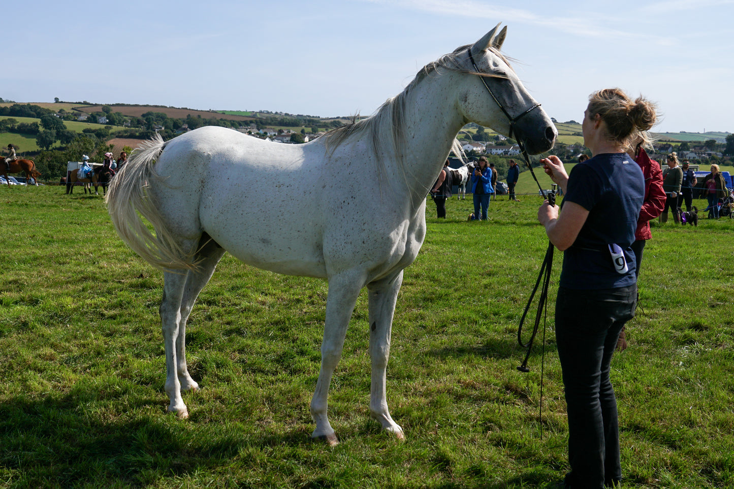 lanlivery show in hand part 4