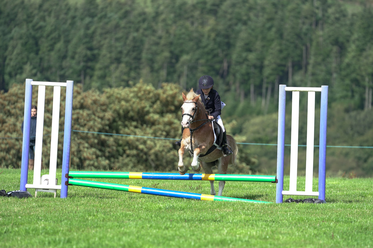 lanlivery show jumping rings part 1