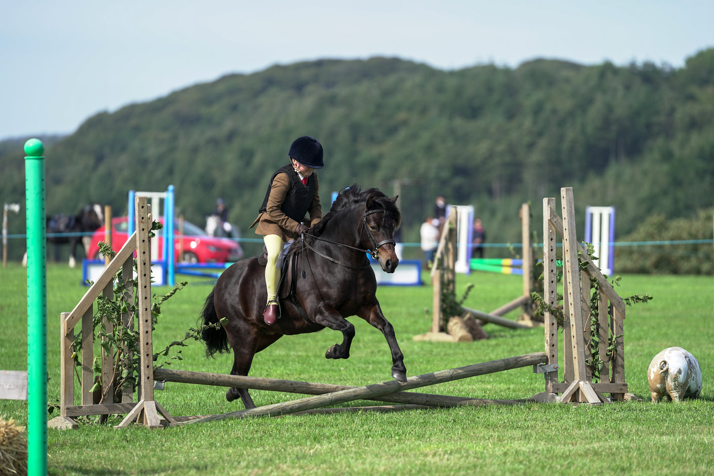 lanlivery show jumping rings part 1
