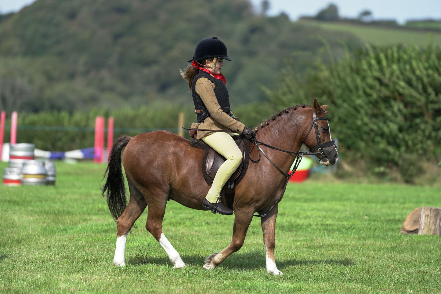 lanlivery show jumping rings part 1
