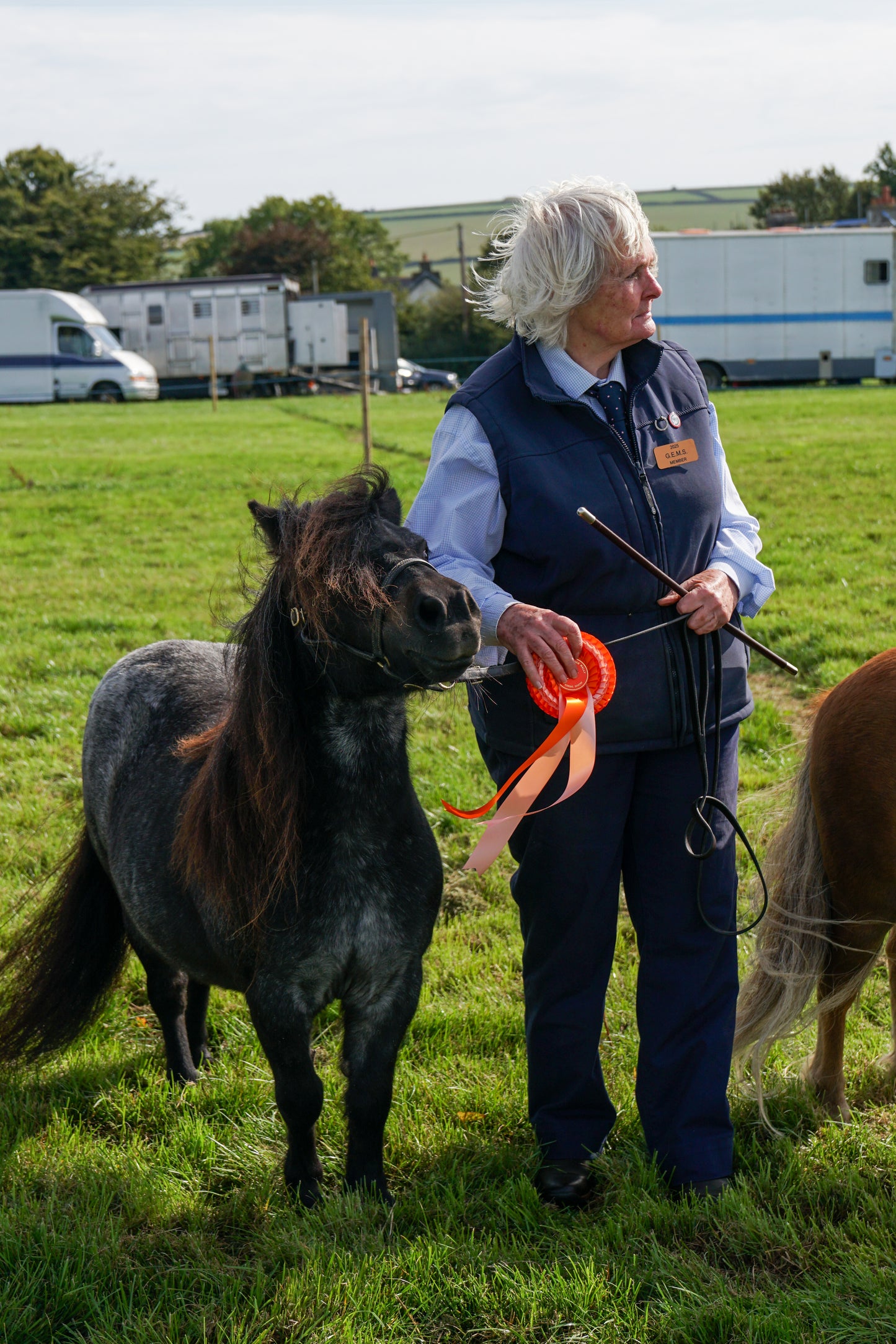 lanlivery show in hand part 1