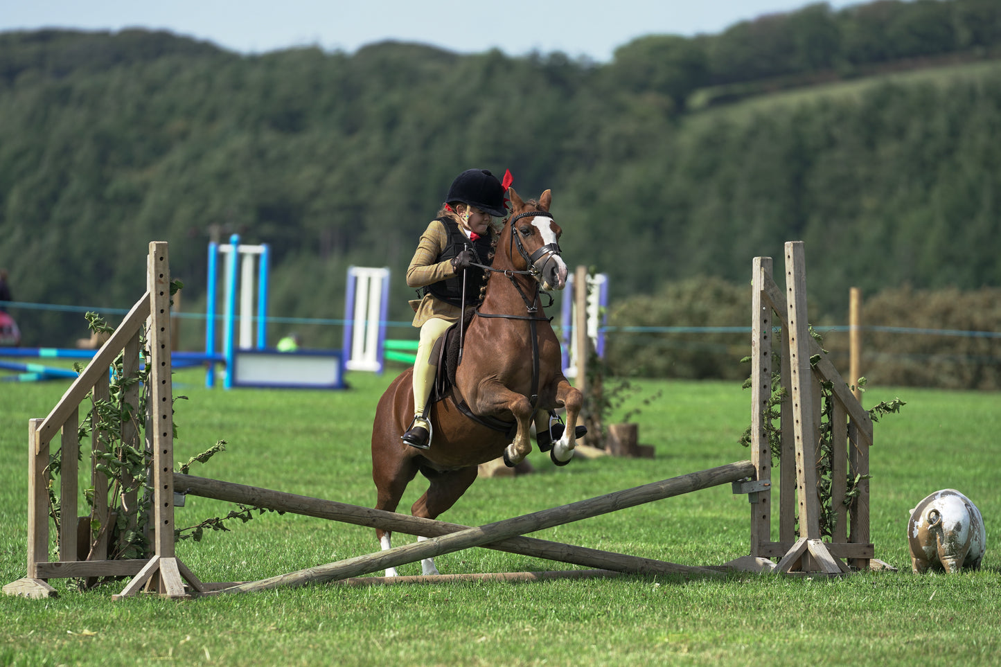 lanlivery show jumping rings part 1