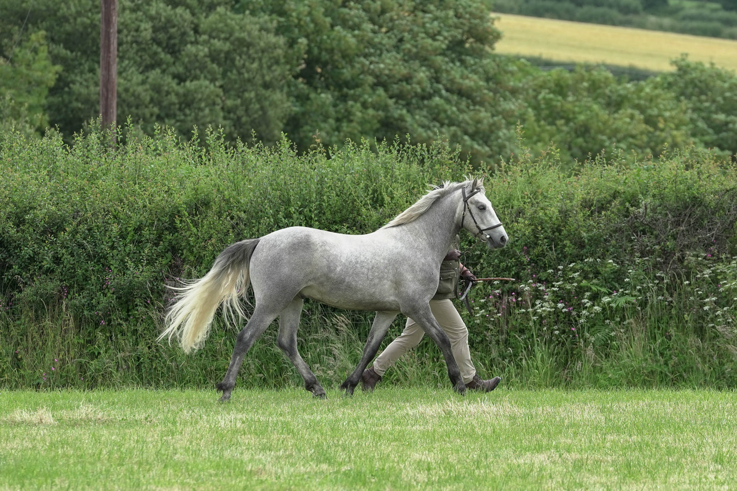 fbh in hand class1