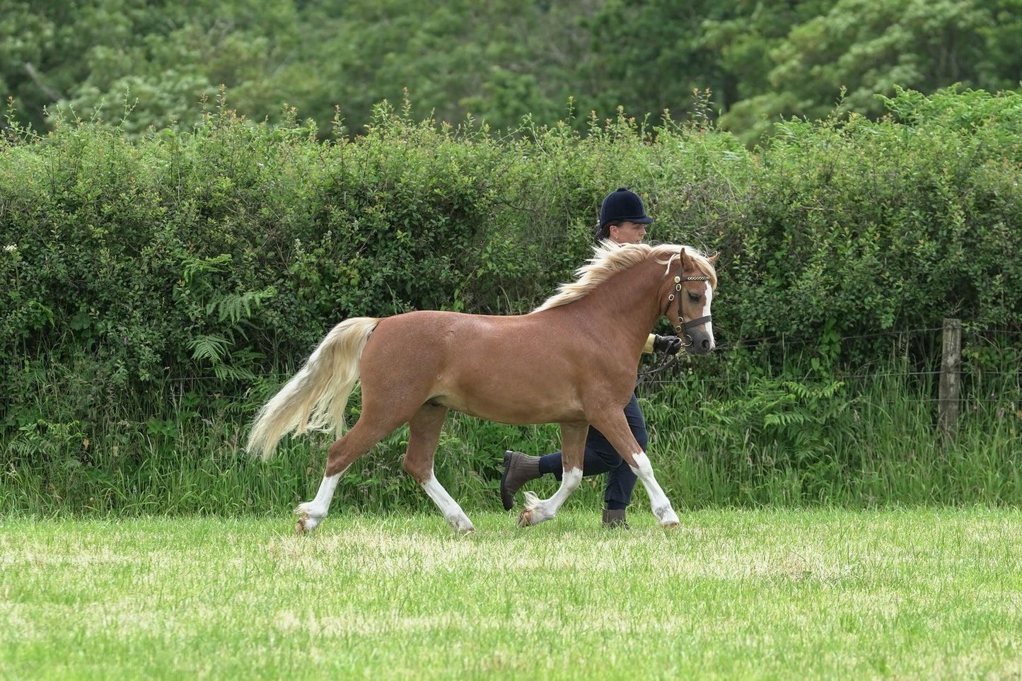 fbh in hand class1